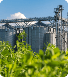 Agroindústria